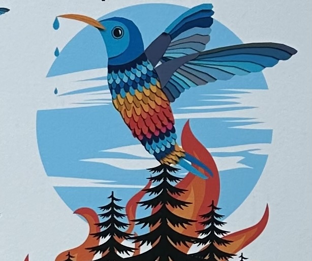 The Hummingbird & the Forest Fire
